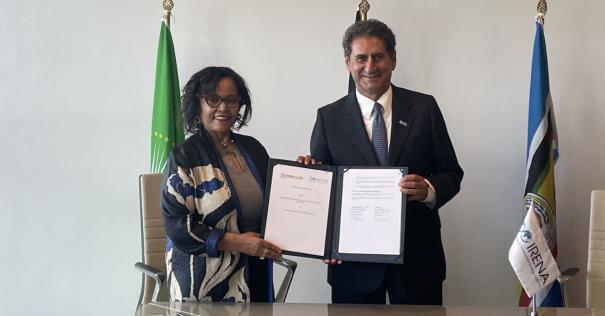 IRENA and AUDA-NEPAD Collaborate for African Development: Strengthening Regional Interconnections